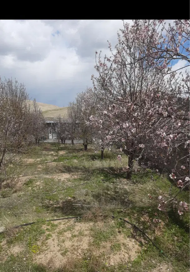 فروش زمین در امام زاده