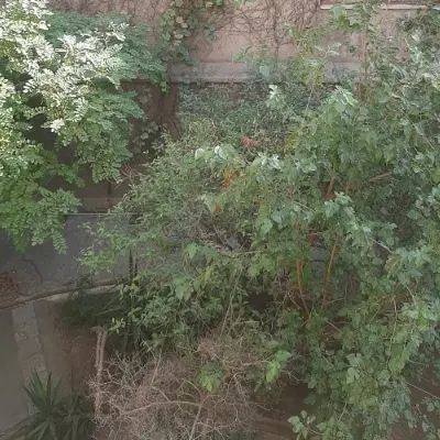 230 متر کلنگی کوثر ها