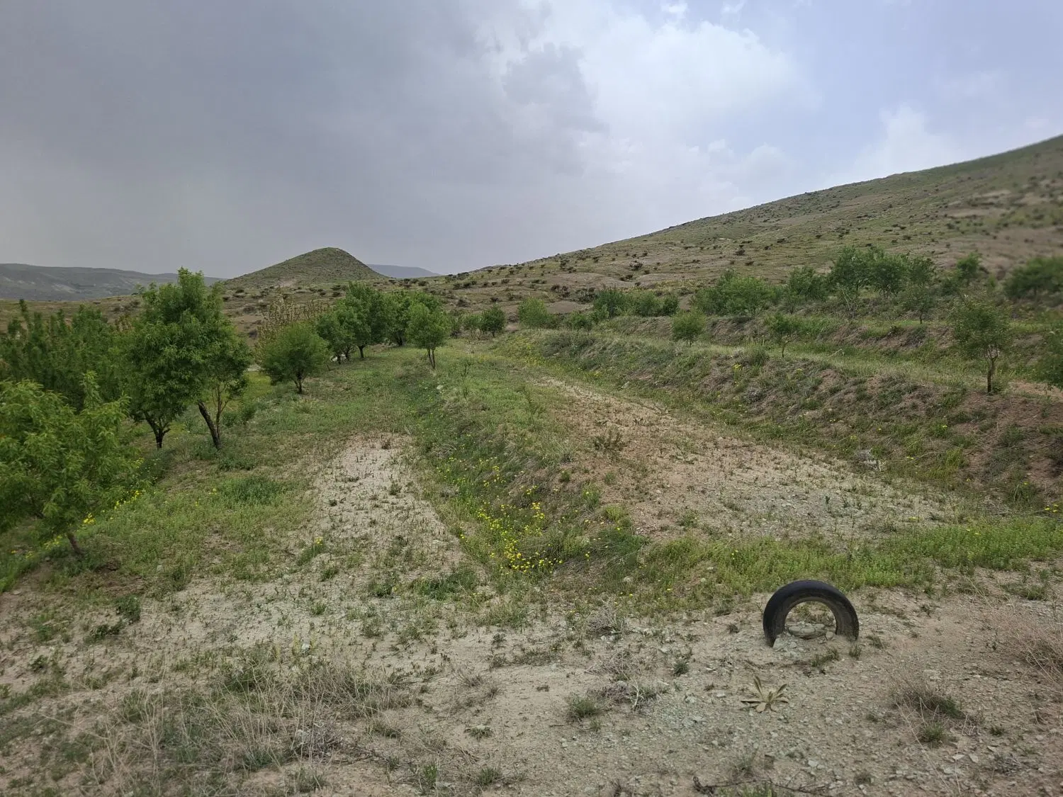 باغ و زمین کشاورزی