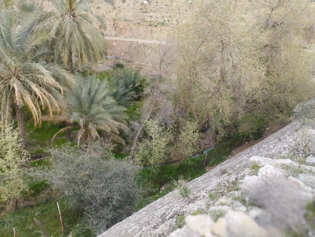 زمین برای فروش