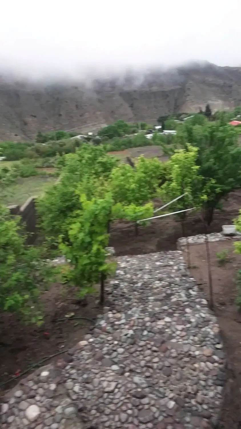 ویلااجاره