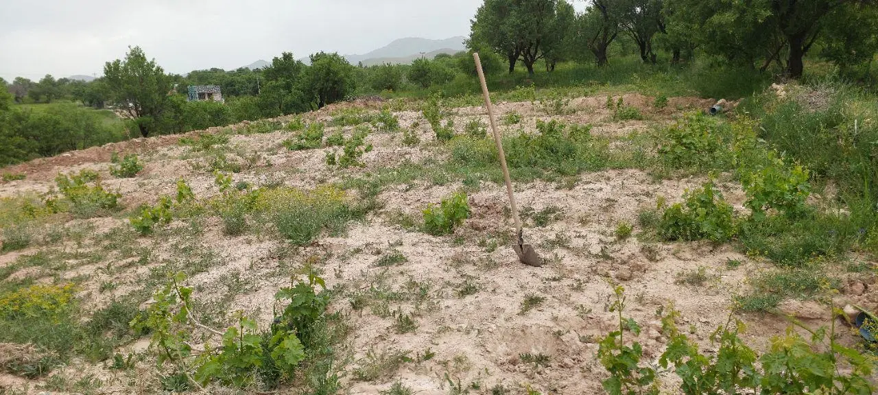فروش باغ و زمین مسکونی روستای اردبیلک