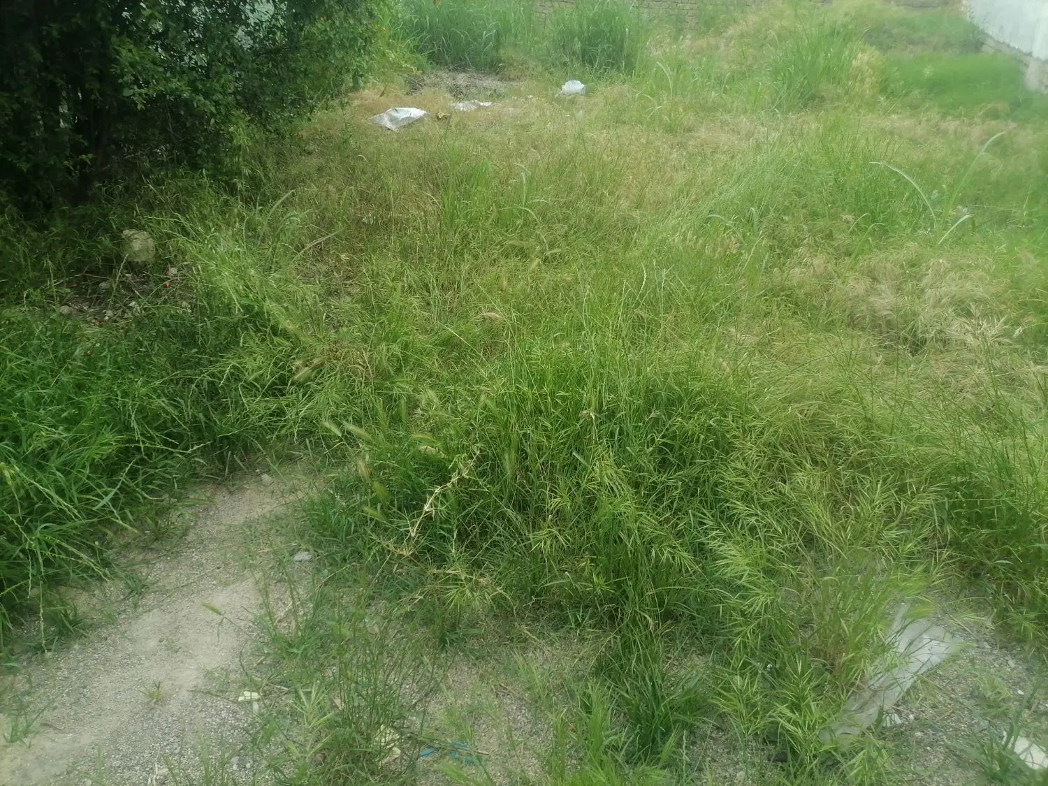 زمین مسکونی رزمندگان