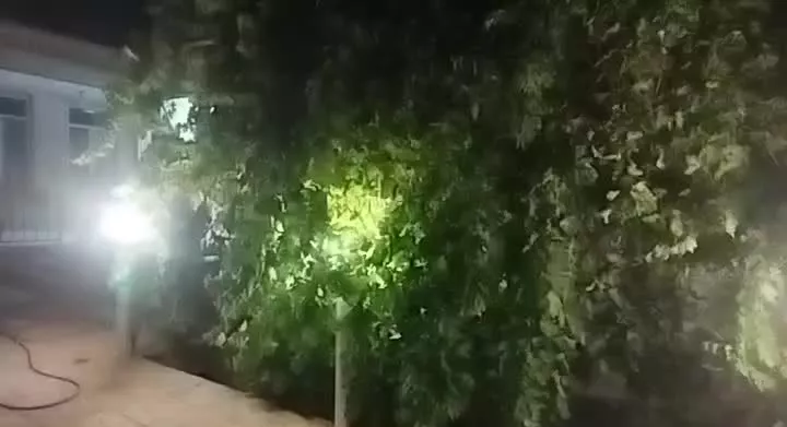 سلام