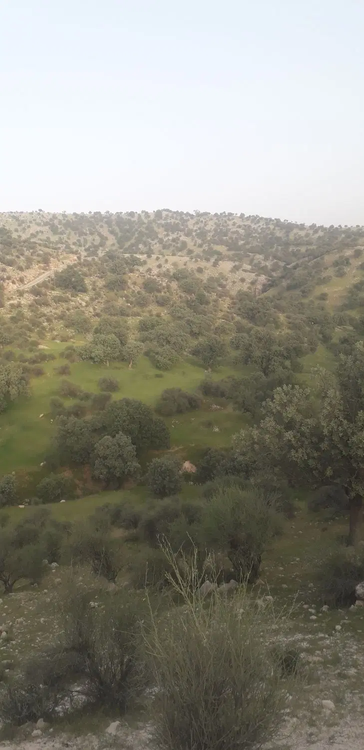 فروش زمین