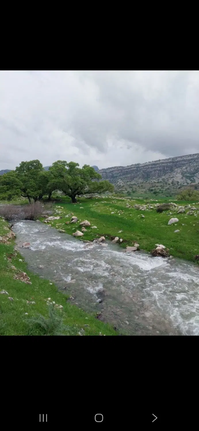 زمین طرح ازتش