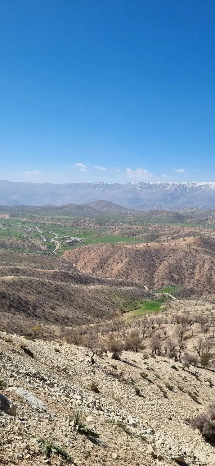 زمین تجاری مسکونی بر کوچه غنچه