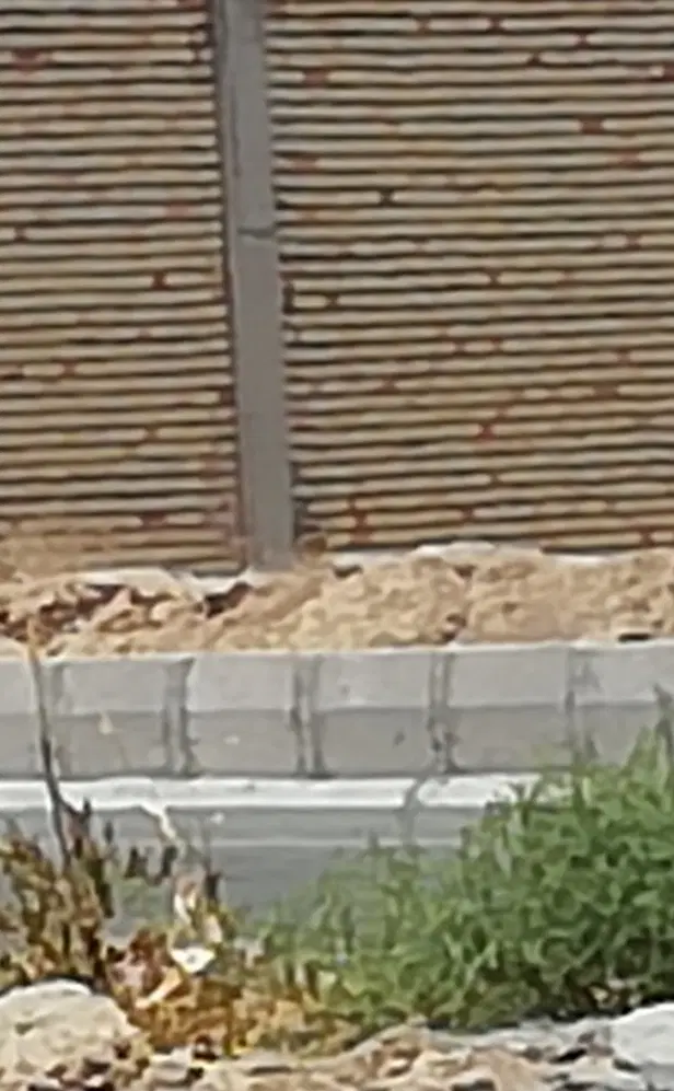 زمین تجاری جنب بخشداری