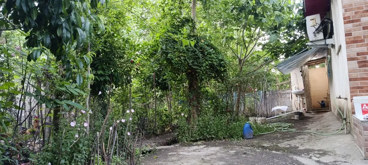 خانه باغ در ماسال