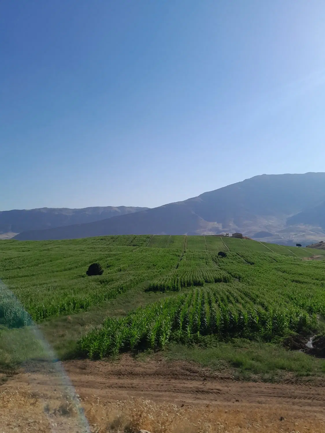 فروش زمین پیربلوط