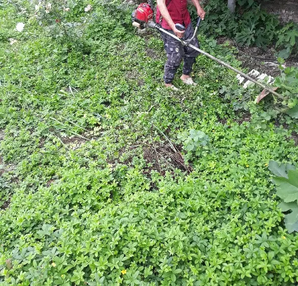 زمین فروشی