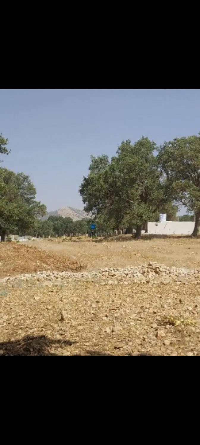زمین مستثنیات مناسب باغچه