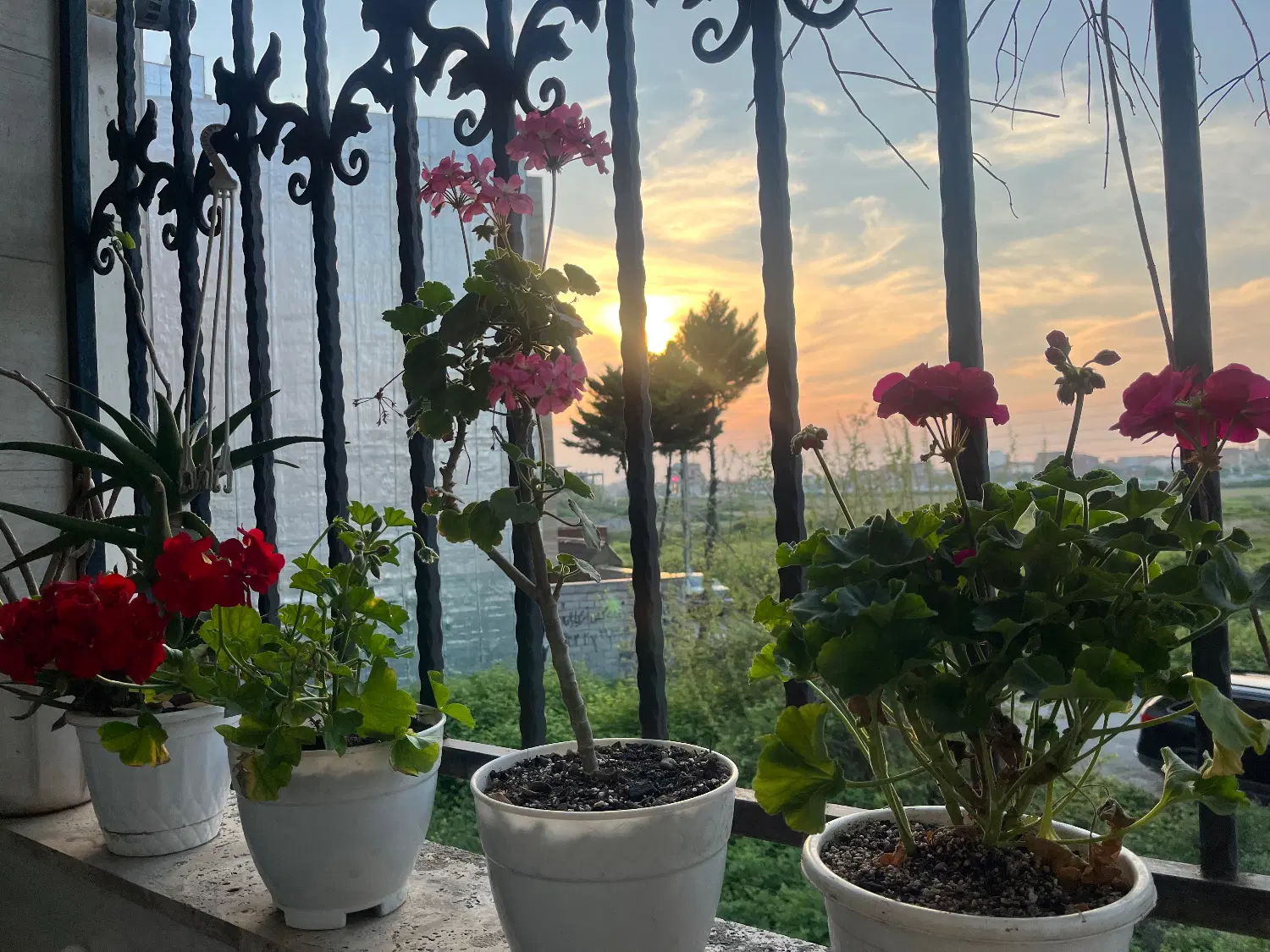 ۹۳ متری پاسداران