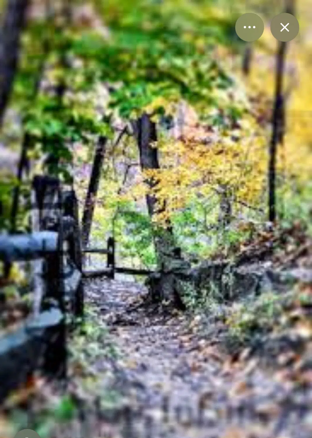 زمین ۷۵۰متر  سند دار  در فرحزاد