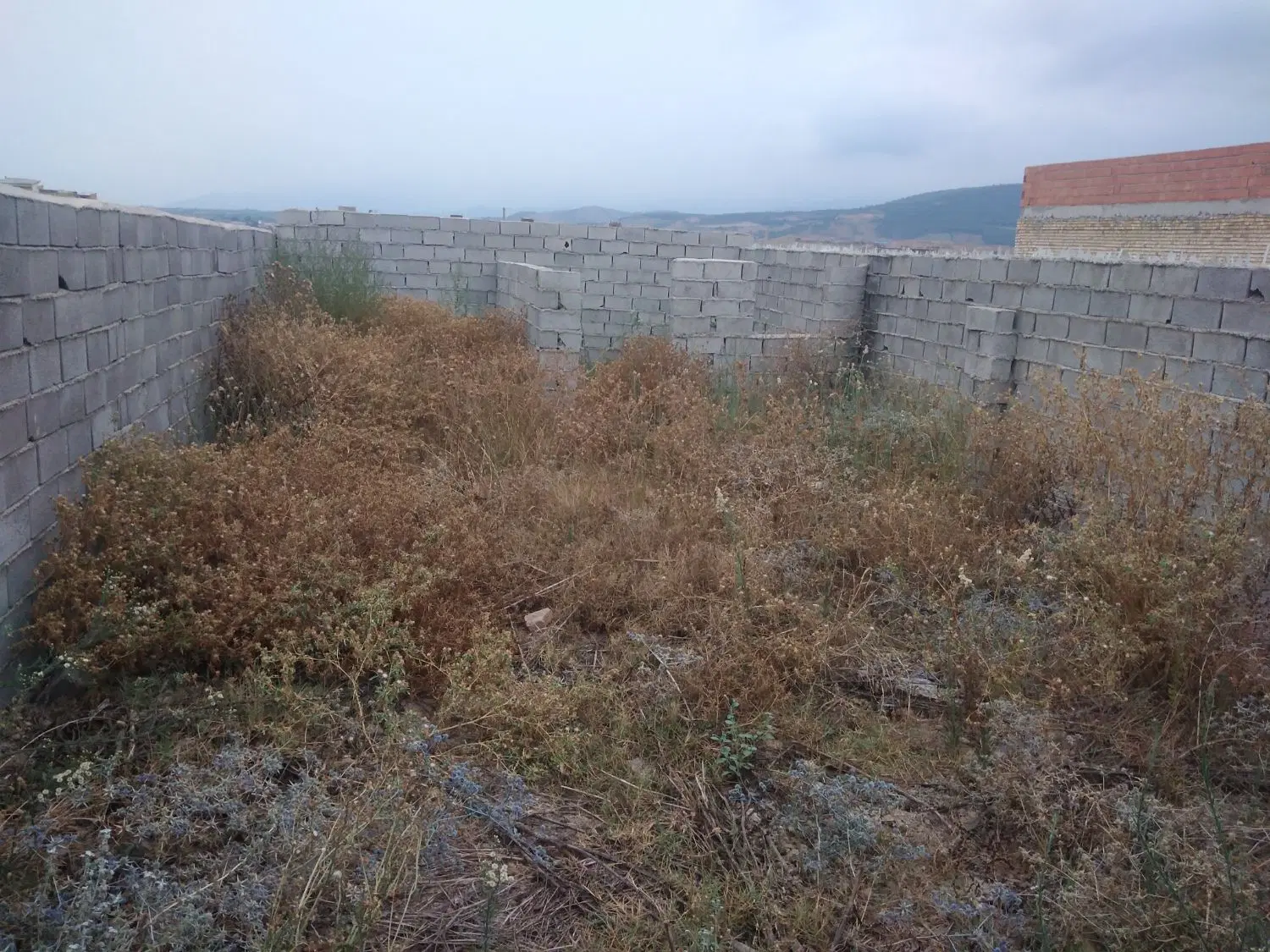 زمین در چناران