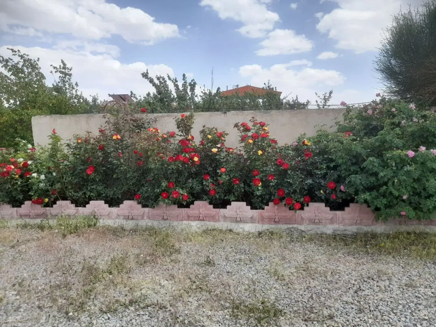 ویلا باغ در شهرستانک