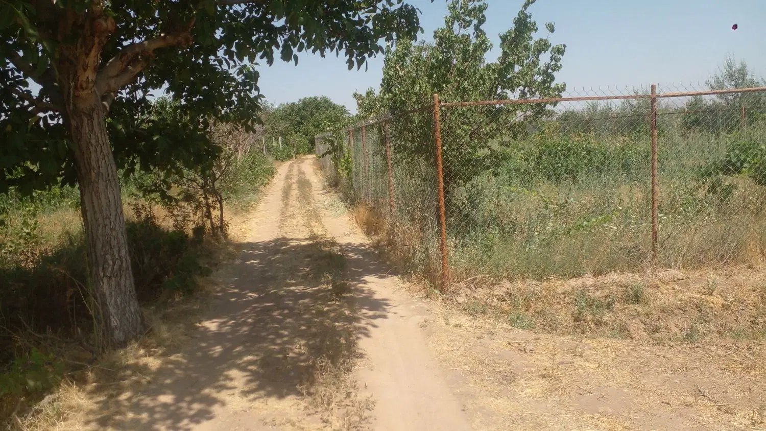 باغچه کوچک حدودا۵۰۰متر