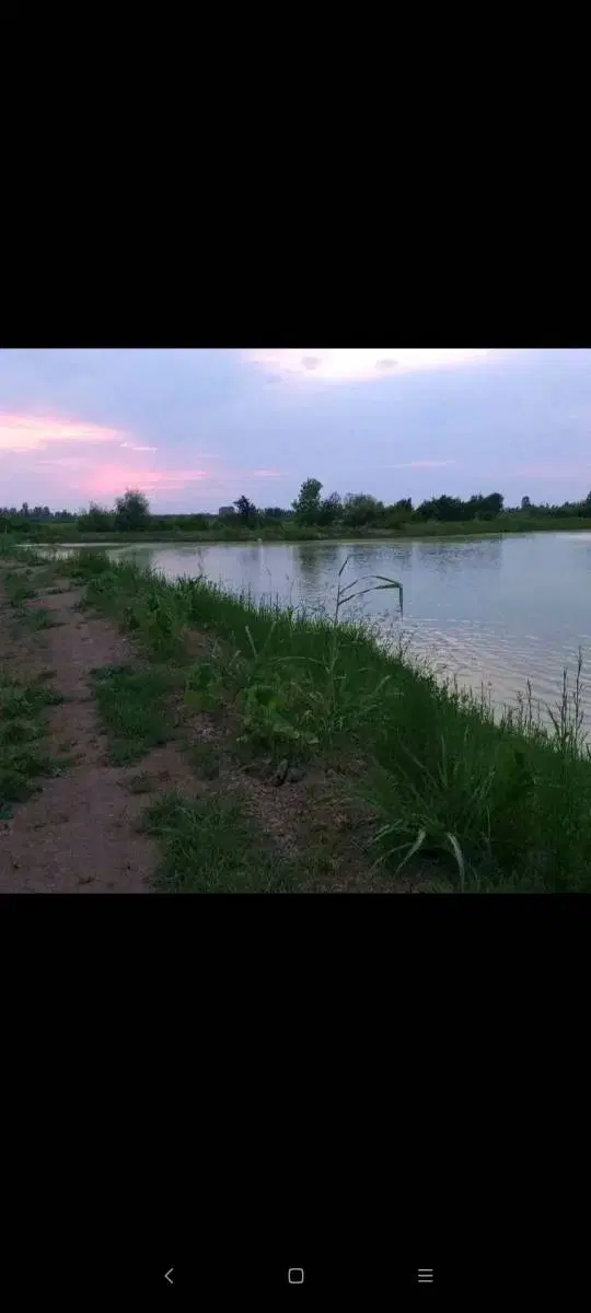 استخرماهیی_پرورش ماهی_گرمابی_بومگردی_سند تک برگ