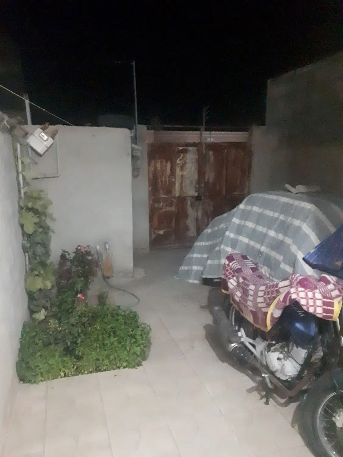 محمدعلی پهلوان خانه اجاره