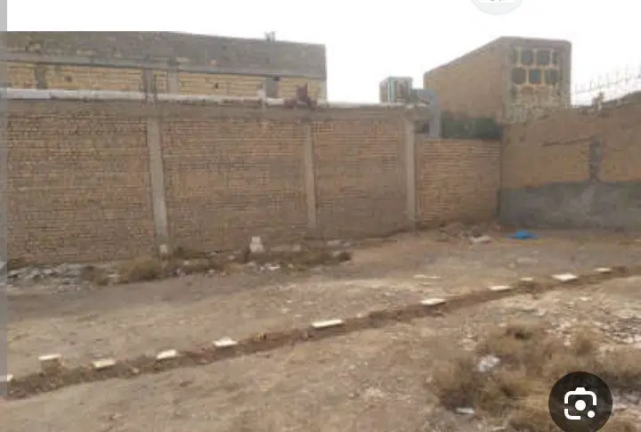 زمین مسکونی نخلستان