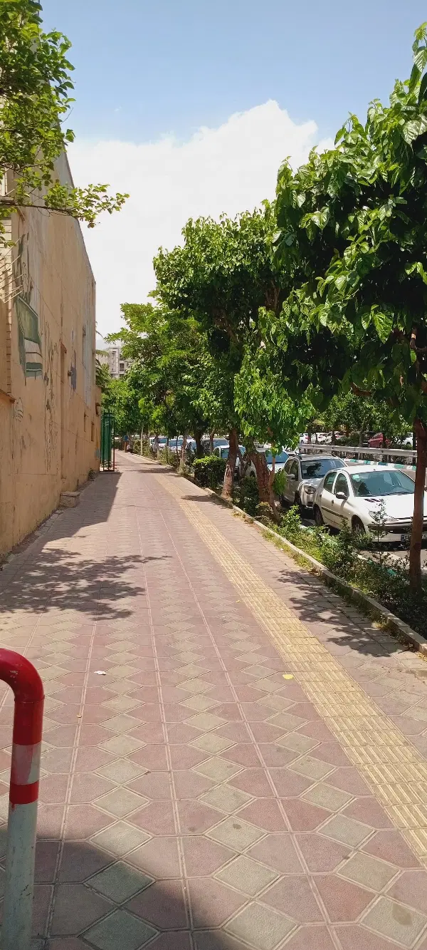 ۲۸۳متر موقعیت تجاری بر اصلی