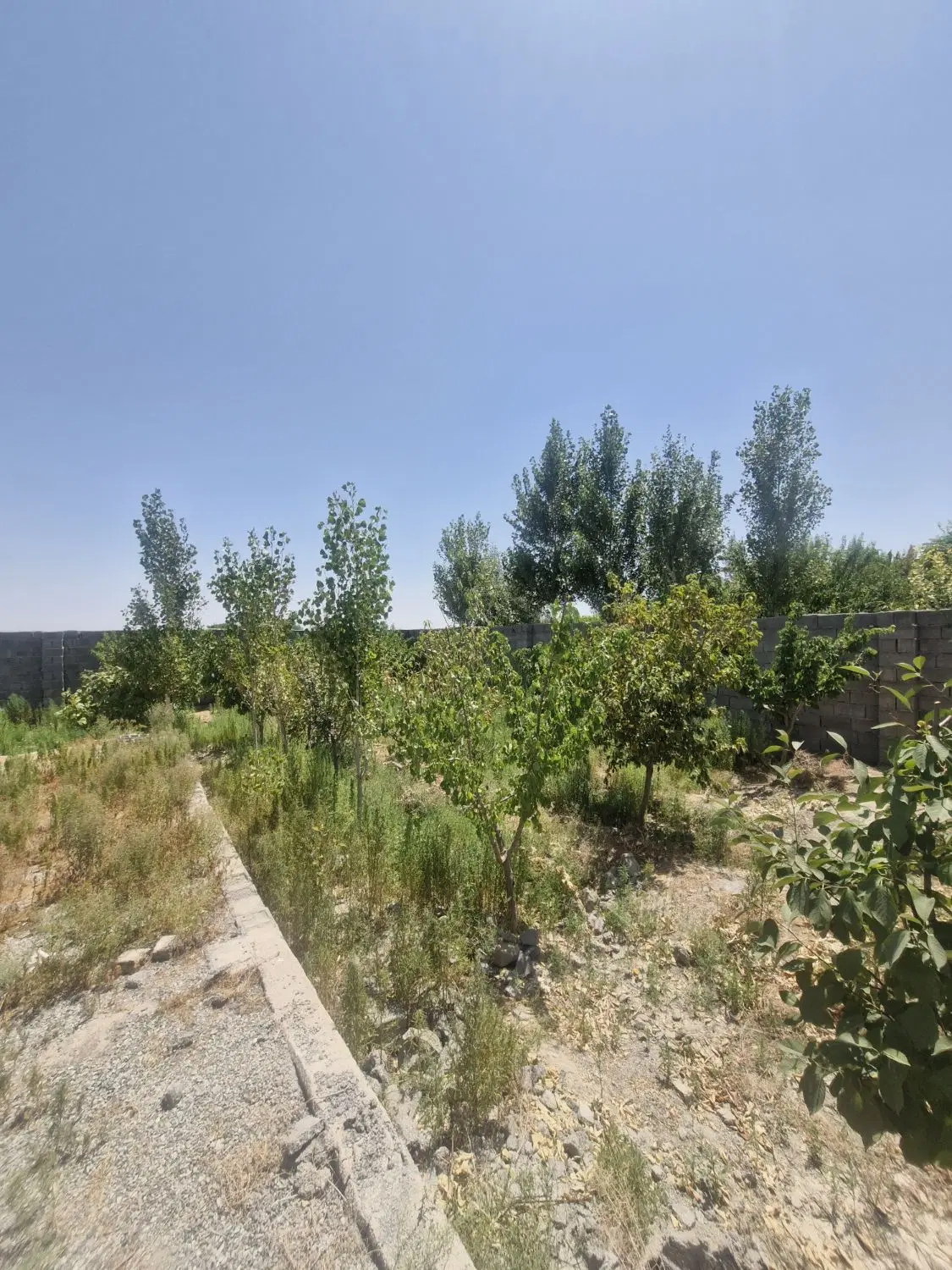 باغ و باغچه ۲۰۰ متر اسفندآباد (چهاردیواری مجزا)