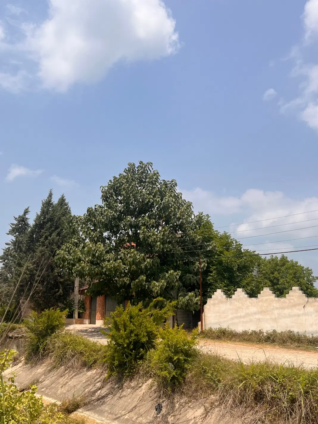 ویلایی اوجامحله جنب کانال آب