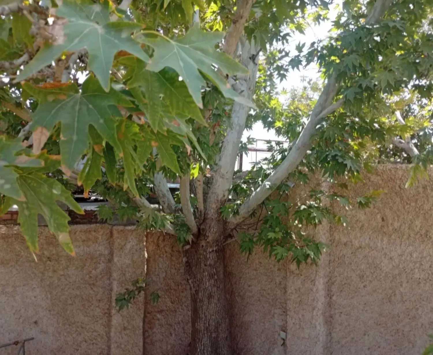 خوابگاه دانشجویی