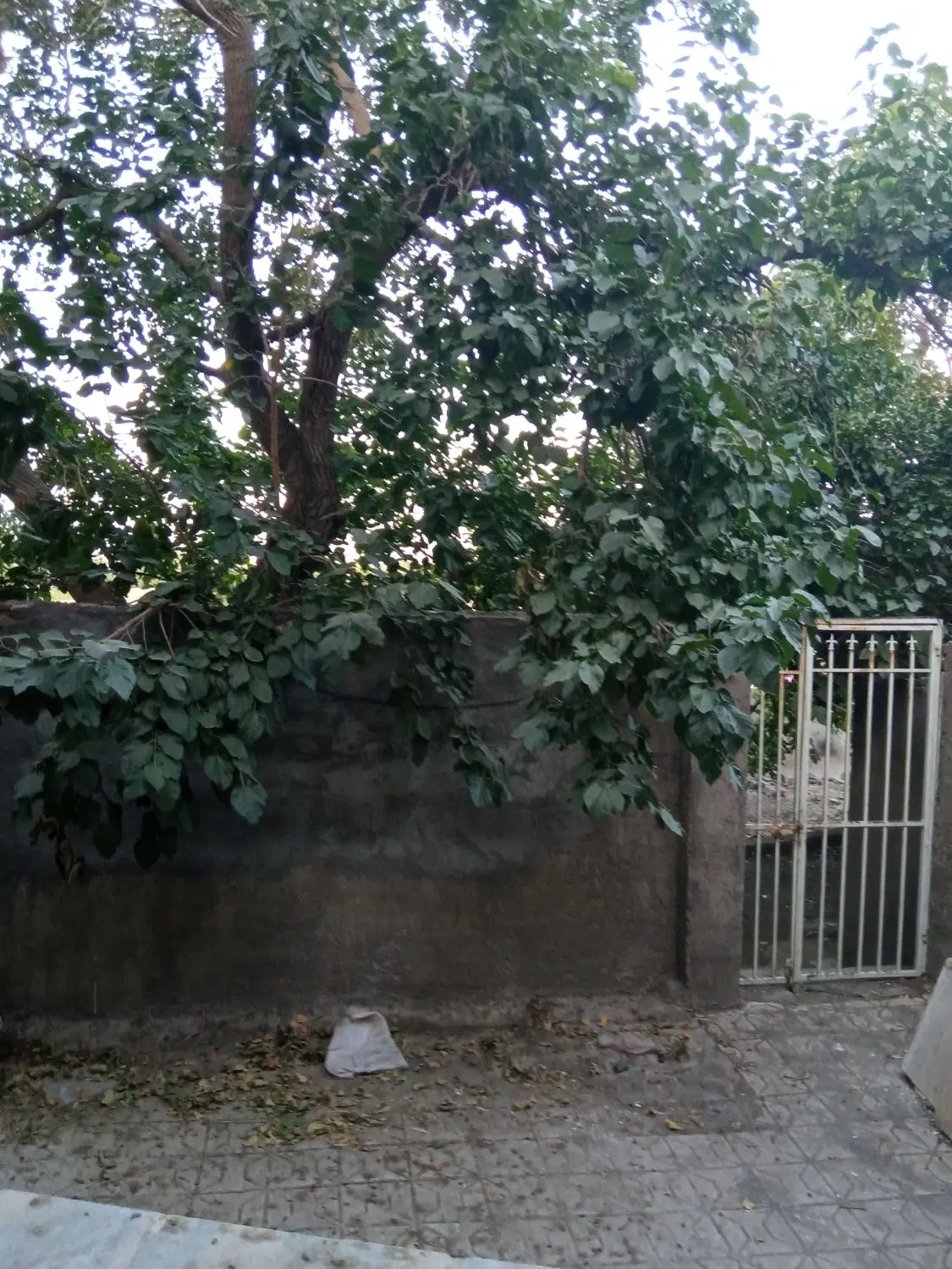 خانه ویلایی  ابرده  میلاد ۱    ۴_۵  م
