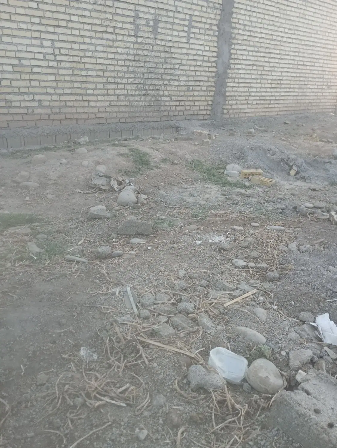 زمین چمگلک