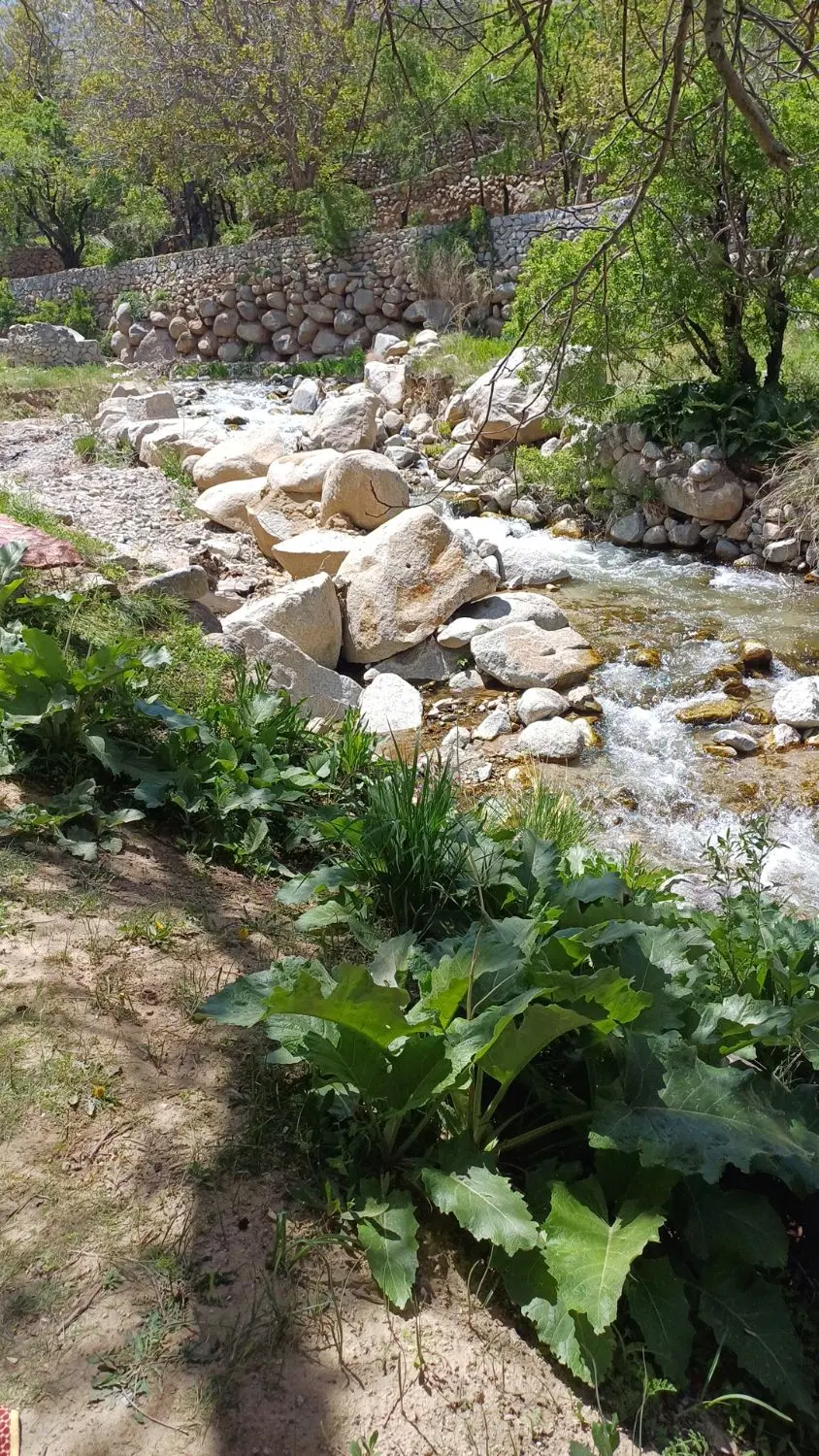 فروش باغ ۱۸۰متری ده بالا