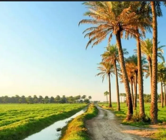 فروش زمین