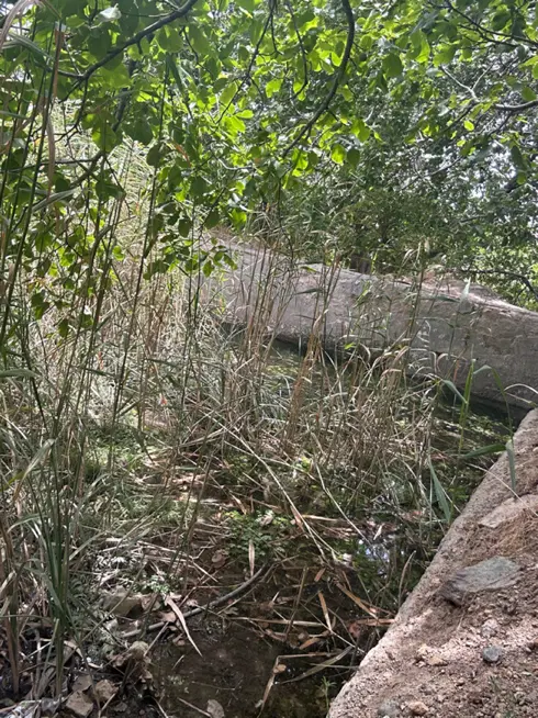 خانه باغ