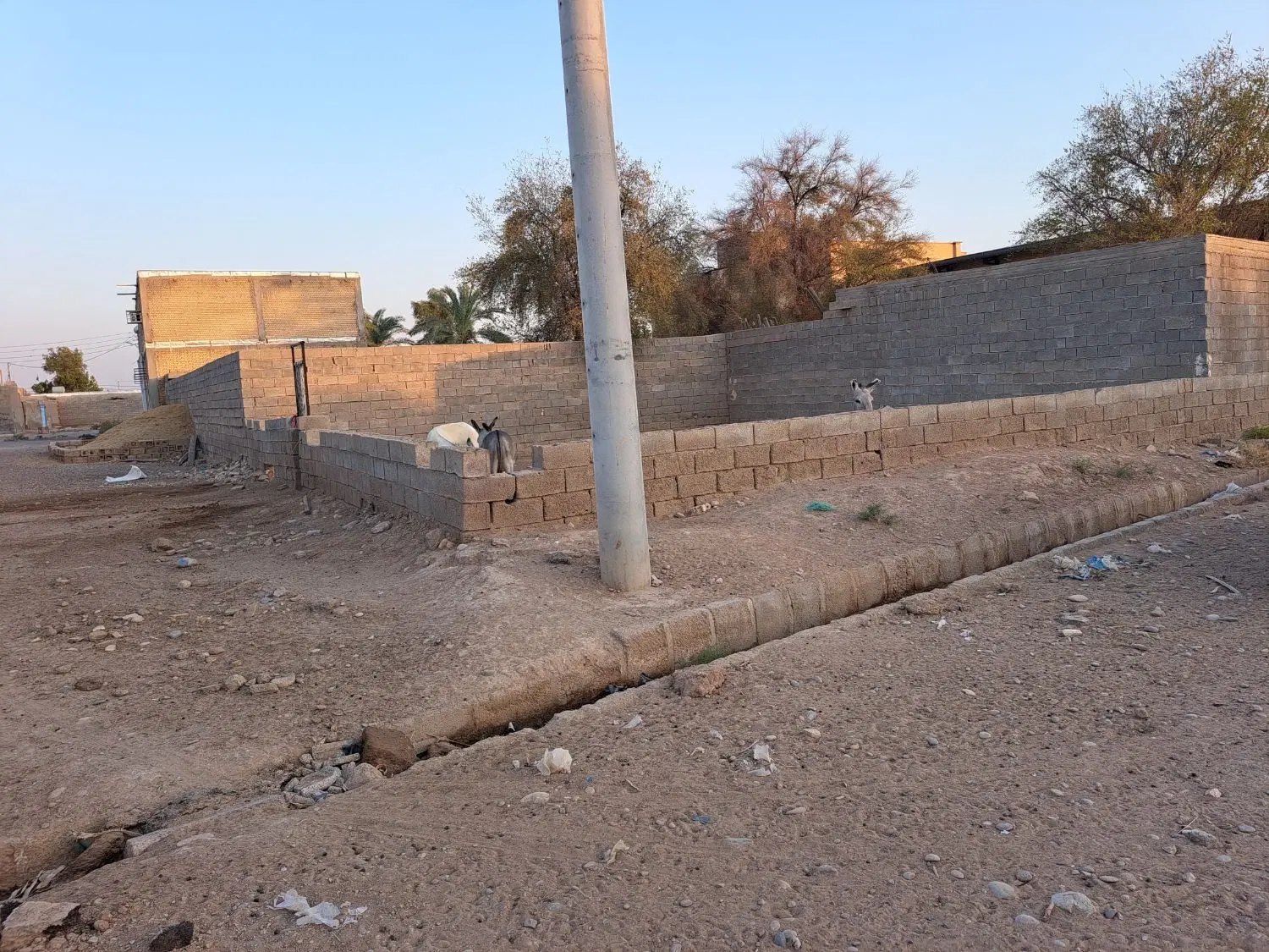 زمین سند تک برگ روستای مجنون دو نبش
