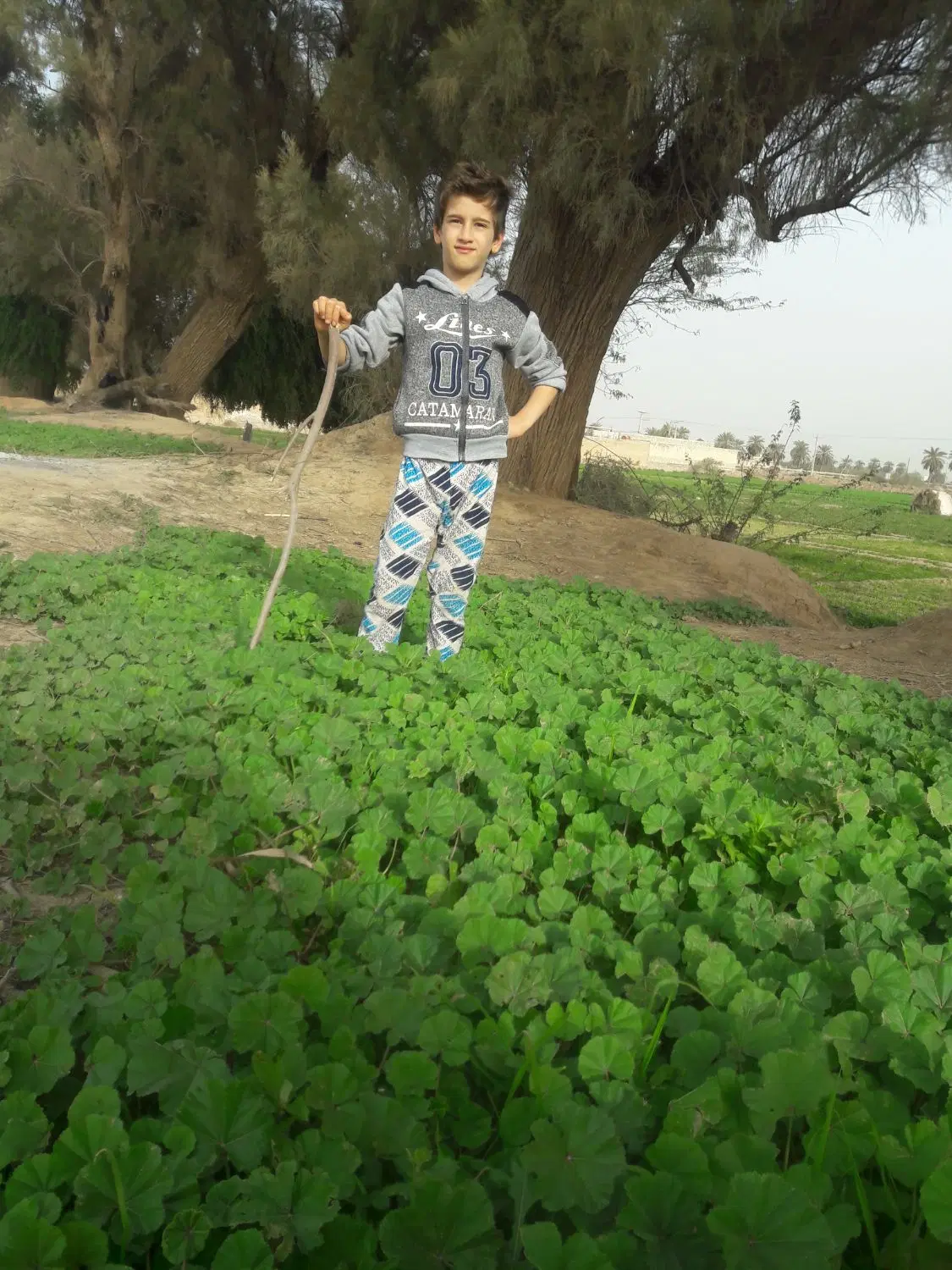 زمین در شرکت اجور