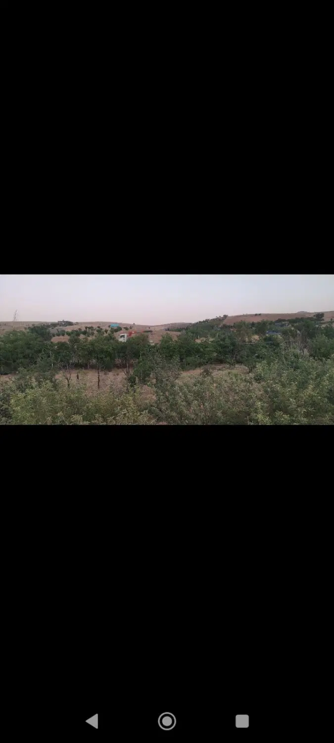 فروش باغ