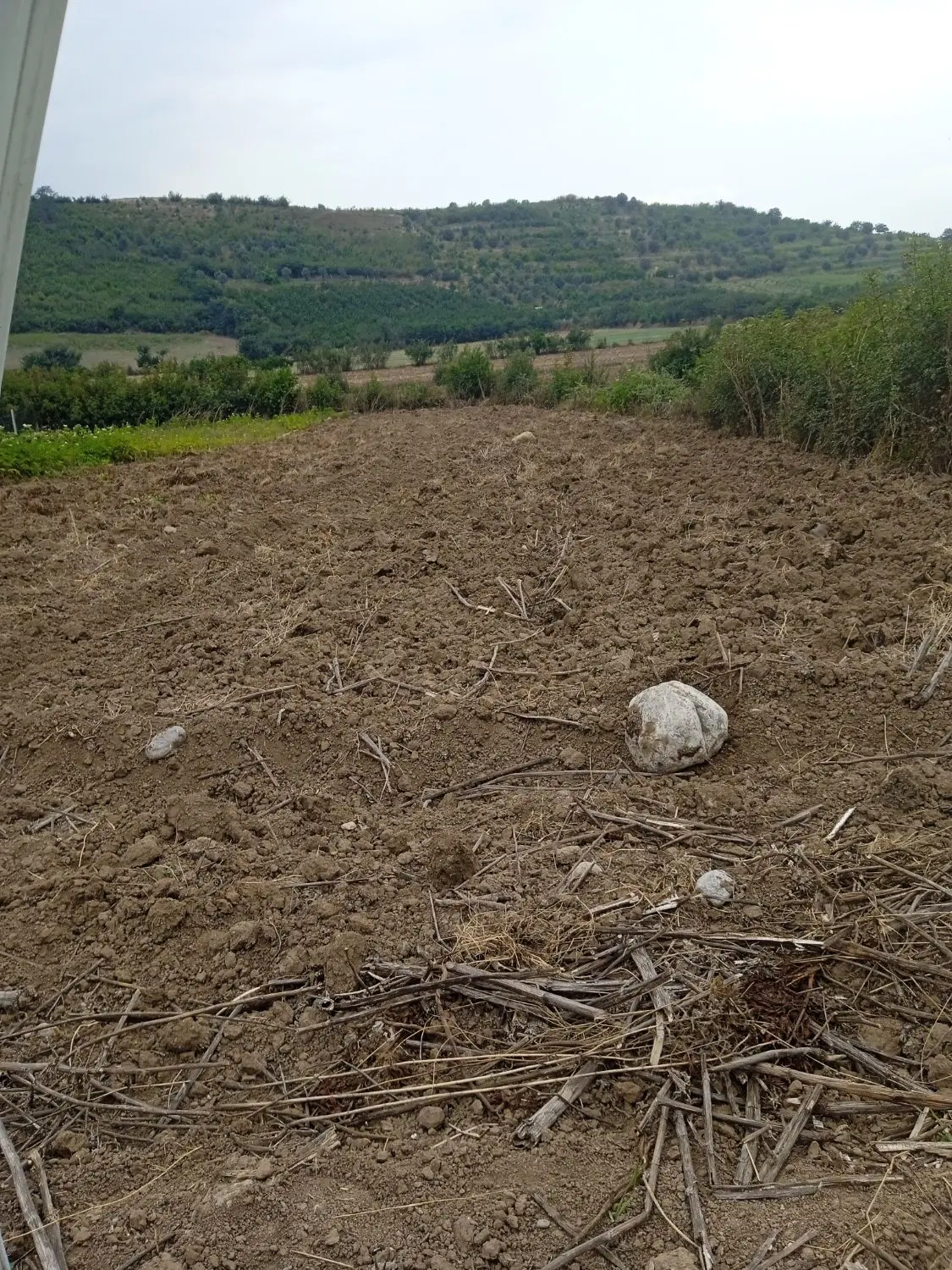 زمین کشاورزی
