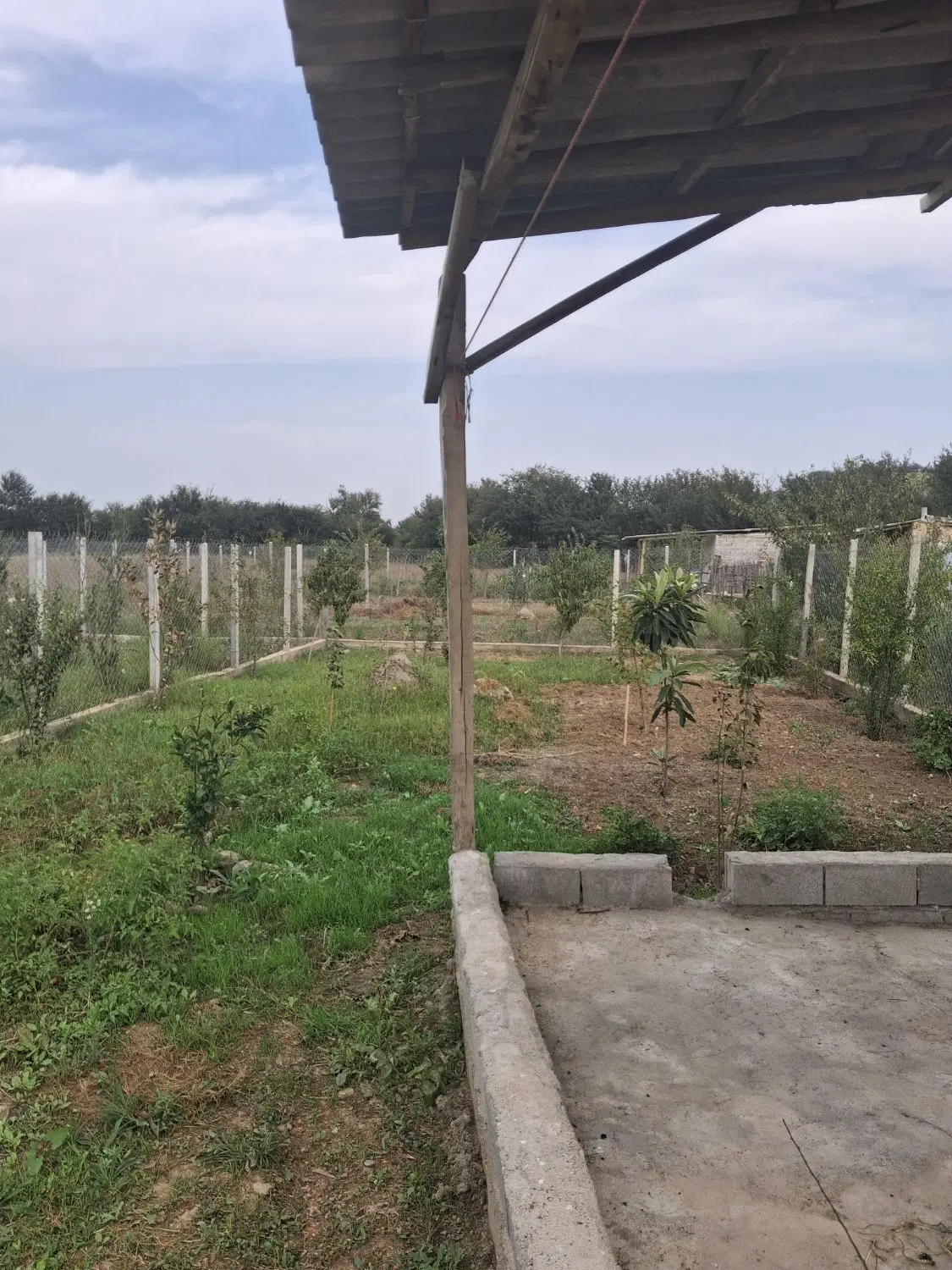 فروش باغ ۲۰۰ متری نزدیک جنگل شصتکلا