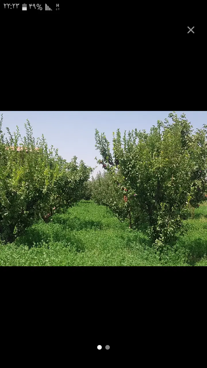 ۱۵۰۰متر باغچه الوان پنج ساله ترح هادی برجاده