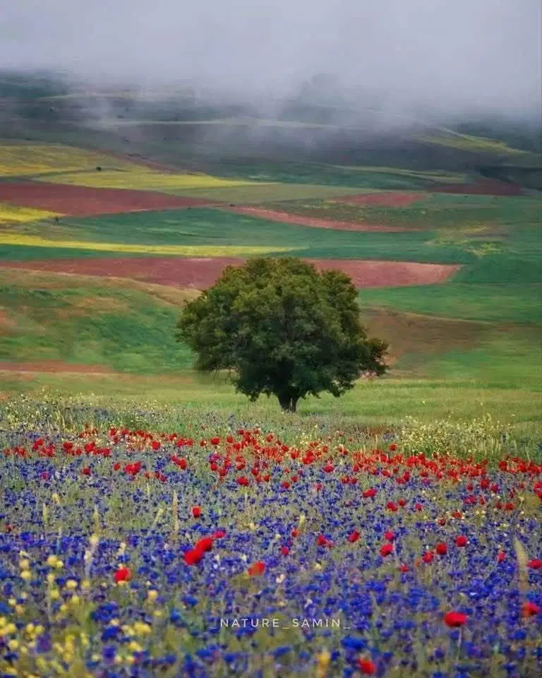فرصت جذاب سرمایه گذاری