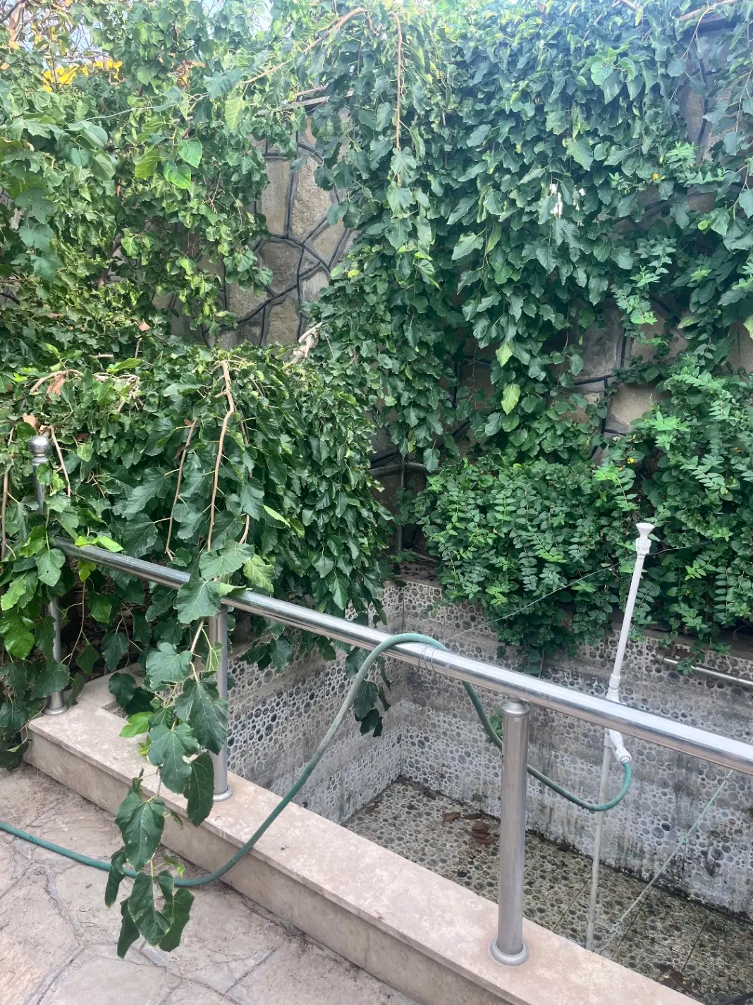 باغچه نقلی توبهتربن روستای دستگرد