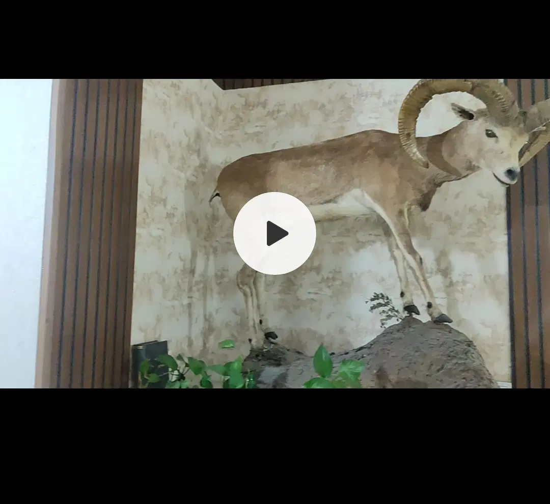 آپارتمان ۳ خواب شیک
