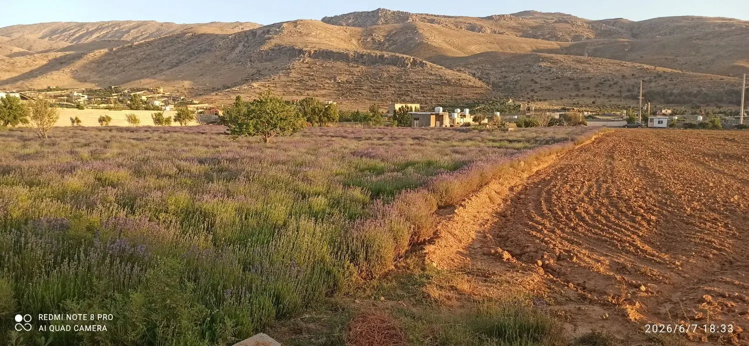 فروش باغ شهر باجگاه