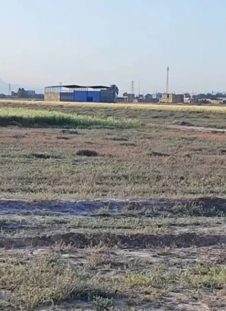 زمین علی آباد
