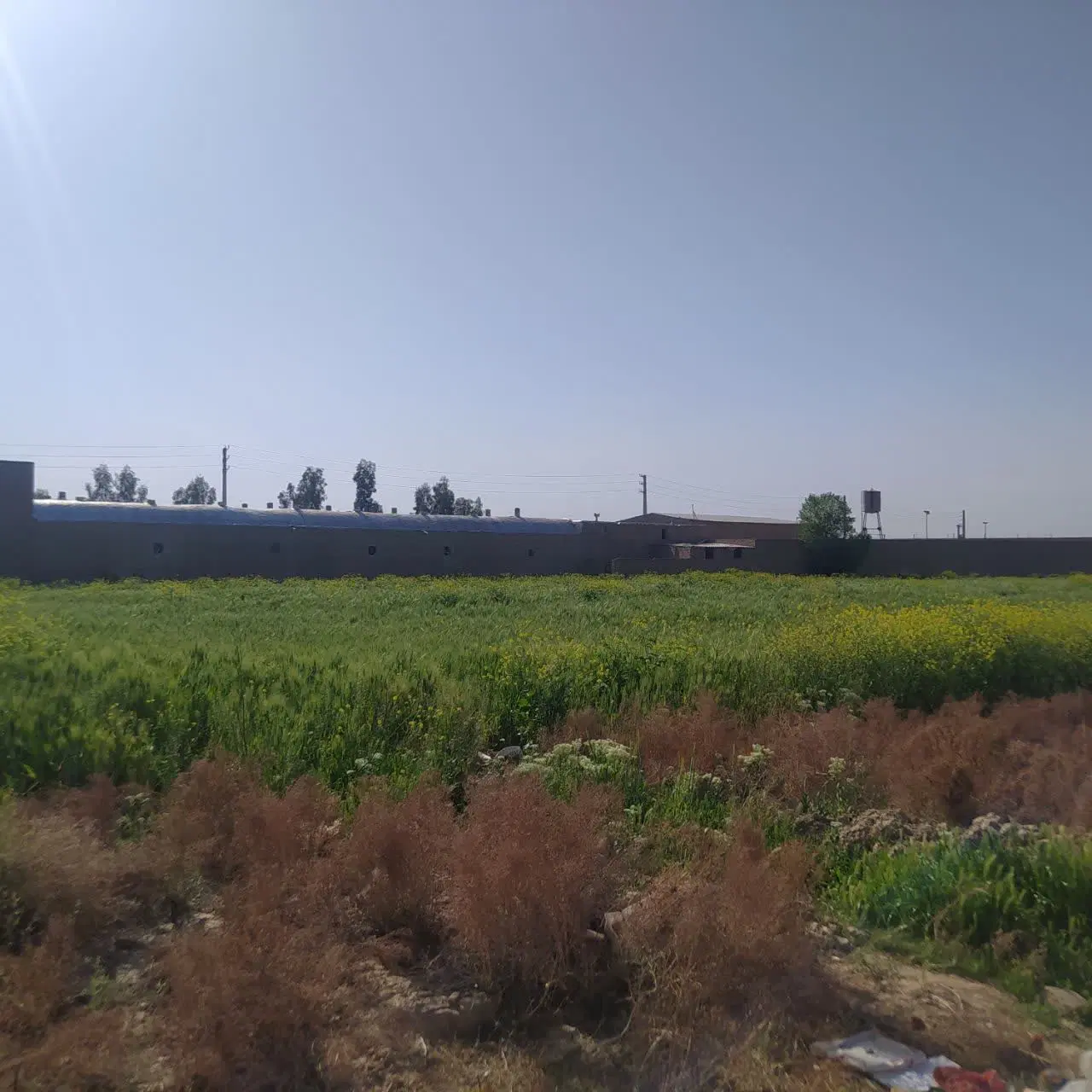 زمین کشاورزی
