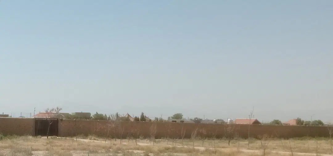 باغشهری نزدیک تخت جمشید