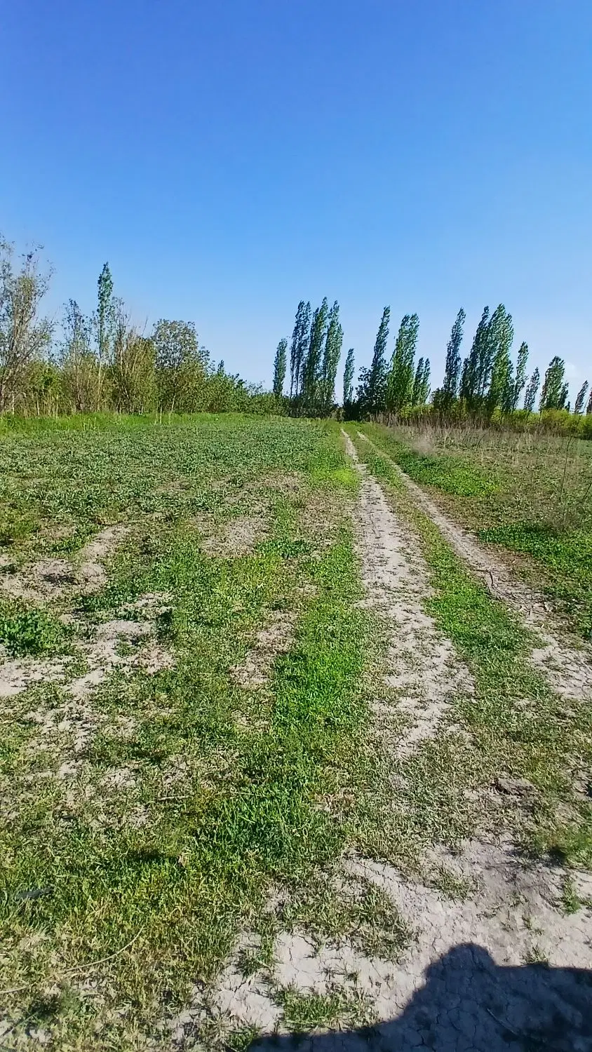 زمین کشاورزی