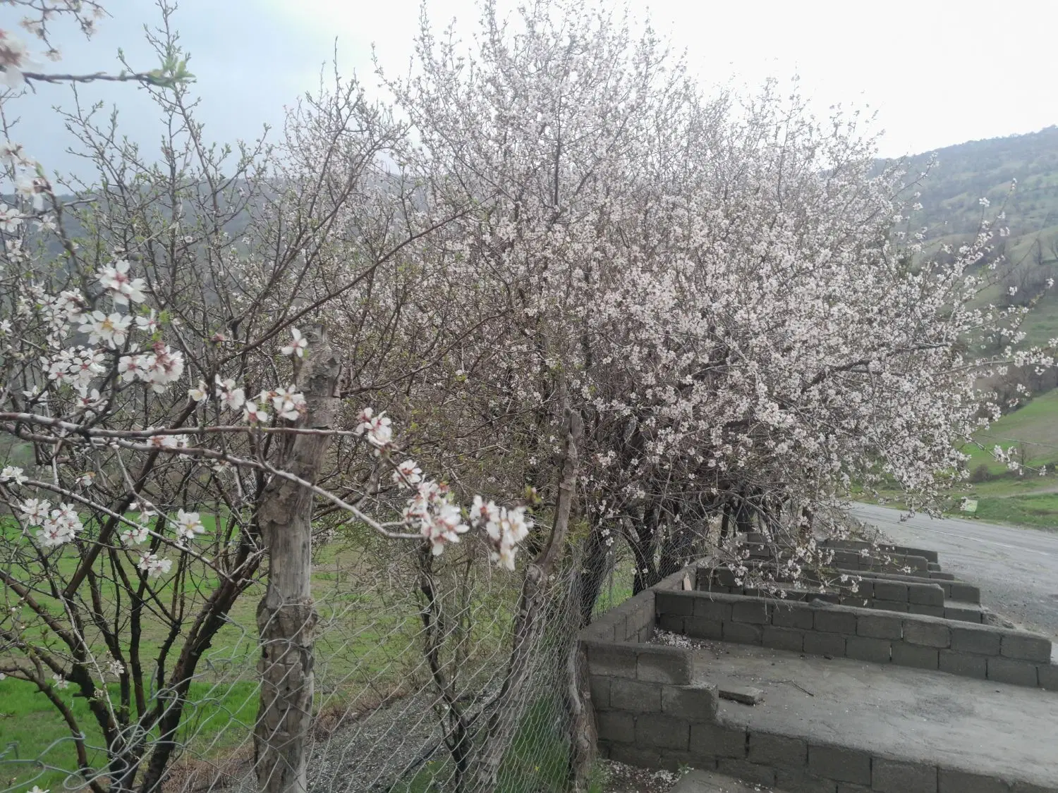 زمینپلاک کادرسپاه بهاران فاز ۳