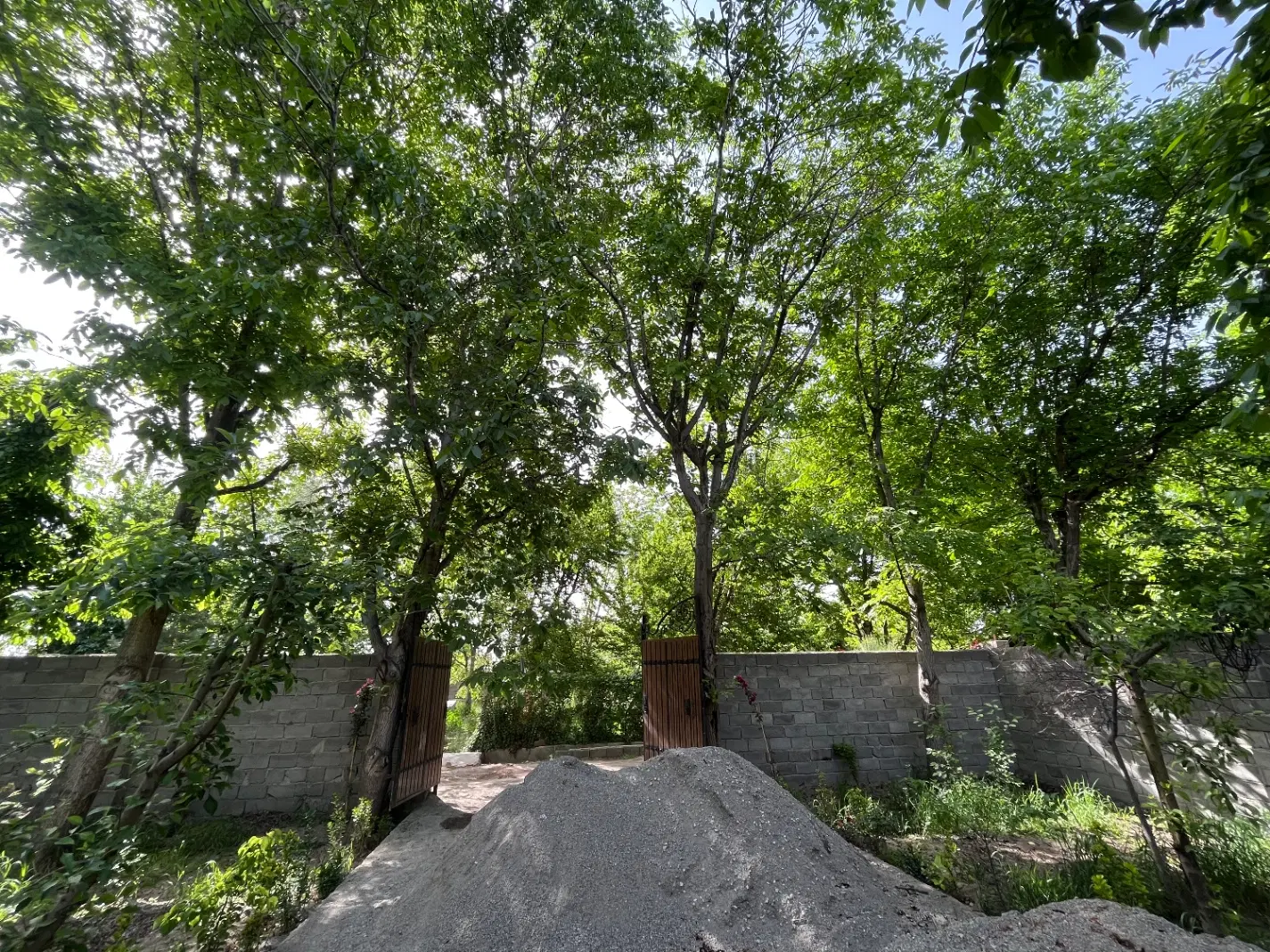 باغ گیلاس سرسبز