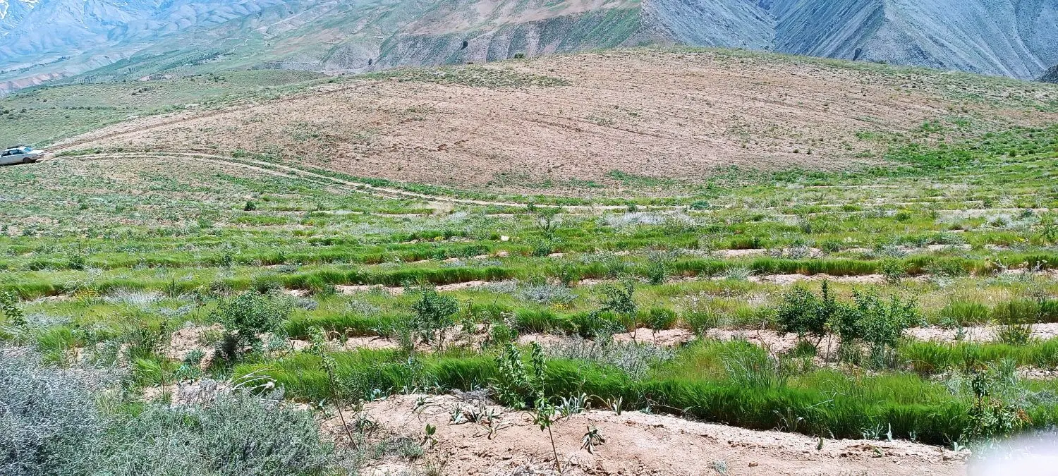 زمین کشاورزی